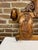 19th Century Swiss Black Forest Hand Carved Wall Mounted Coat and Hat Rack For Sale - Image 4 of 12