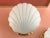 1970s Frosted Glass Scallop Shell Wall Lights - Set of Three For Sale - Image 10 of 18