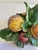 Mid 20th Century Vintage Italian Capodimonte Porcelain Harvest Fruit Taper Candle Holder For Sale - Image 5 of 11