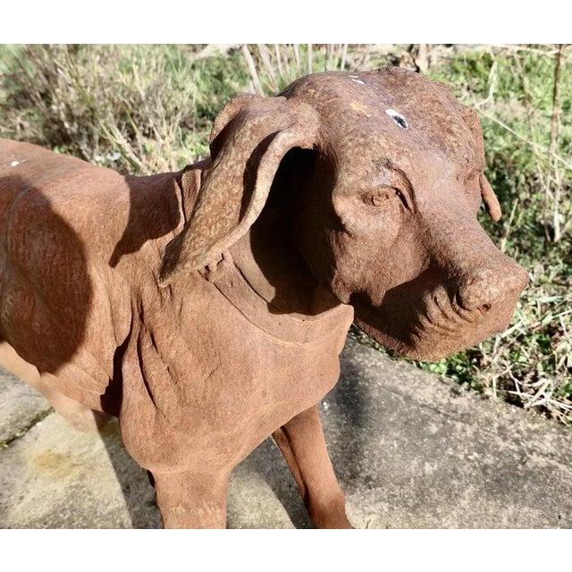 Large Weathered Cast Iron Standing Statue of a Hunting Dog A very handsome Chap, he is standing and he is fully 3...