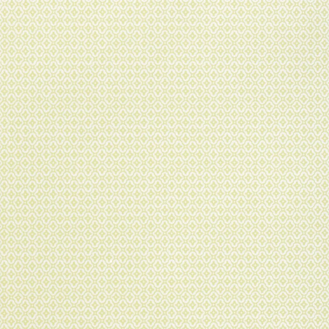 Sample - Schumacher Coconut Grove Wallpaper in Leaf For Sale