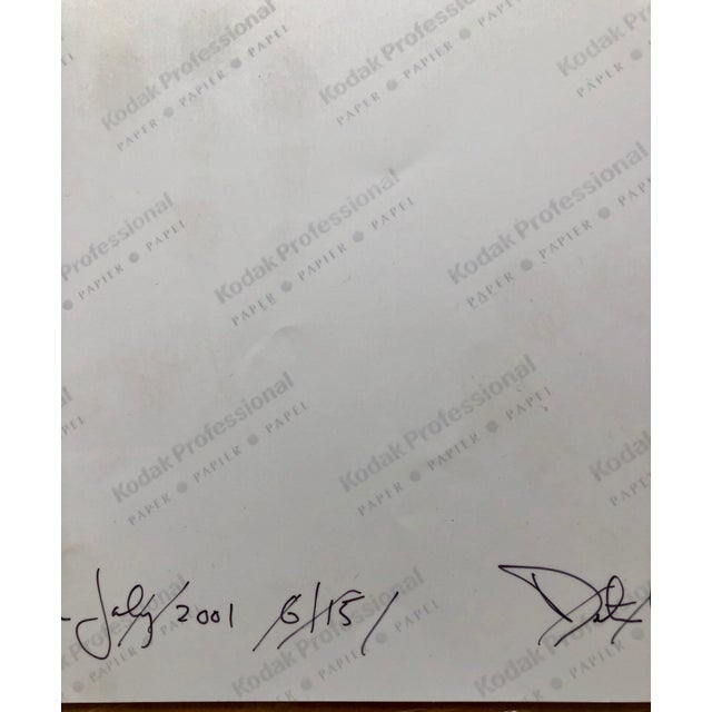 Peter C. Jones 1, Sunset in the Red Room Large Format Photo 24X20 Color Photograph Beach House RI, 2001 For Sale - Image 4 of 6