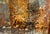 Jose Lapayese Del Rio, Plaza Del Rey Barcelona 1968 For Sale - Image 4 of 5