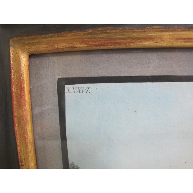 Pietro Fabris Watercolor Engraving Plate XXXVI View of Mount Etna From Catania For Sale In Portland, OR - Image 6 of 9