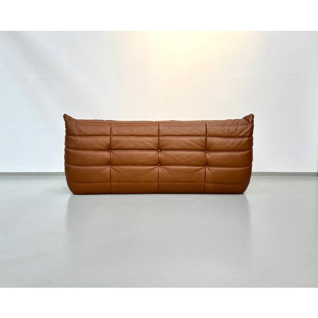 Togo Three-Seater Sofa in Dark Cognac Leather by Michel Ducaroy for Ligne Roset For Sale - Image 11 of 12
