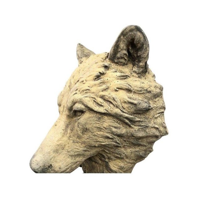 English Cast Stone Wolf Head Bust For Sale - Image 6 of 17