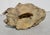 Richard Hess Terra Cotta Sculpture MCM Germany For Sale In New York - Image 6 of 14