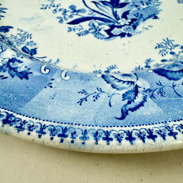 Elkin & Newbon English Botanical Beauties Dinner Plates, Set of Eight For Sale - Image 11 of 15