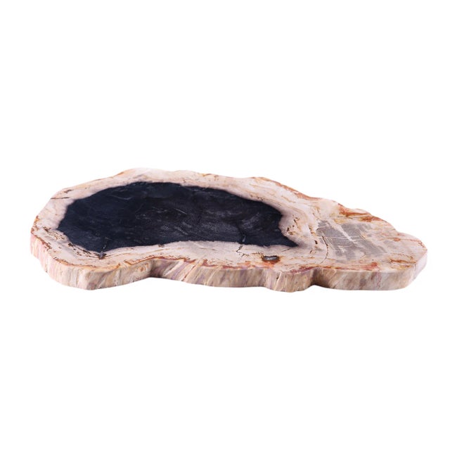 Hand cut, sand, and polished petrified wood board. Each one shows naturel marble grains and pattern. No two are exactly...