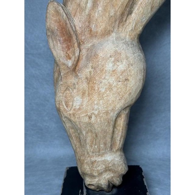 Light Wood Horse Head Sculpture For Sale - Image 6 of 14