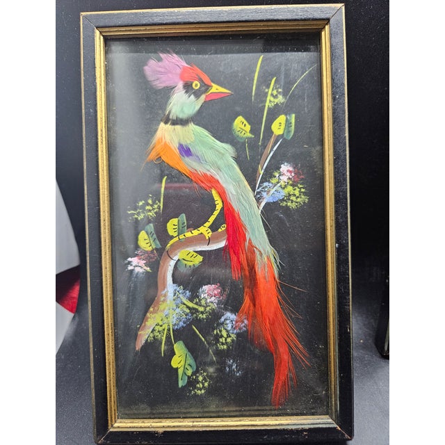 Vintage Pair of Hand Painted Mexican Feather Art Of Birds w/ Real Feathers FRAMED