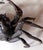 Japanese Bronze Crab Okimono Meiji Signed Yasunosuke For Sale - Image 11 of 13