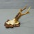 Set of Six Antique Roe Deer Trophies, Germany ca. 1890s / 1900s A great collection of six antique roe deer (Capreolus...