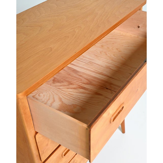 Vintage Scandinavian Birch Chest of Drawers, 1950s For Sale - Image 9 of 11