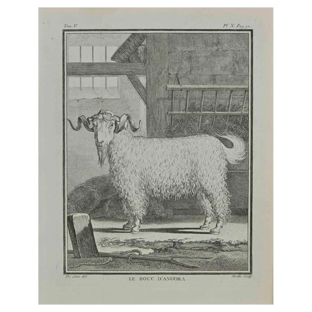 Jean Gullaume Moitte, Le bouc d'angora, Etching, 1771 For Sale