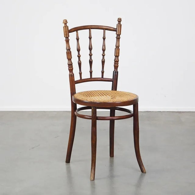Dining Chair by Michael Thonet For Sale - Image 12 of 12