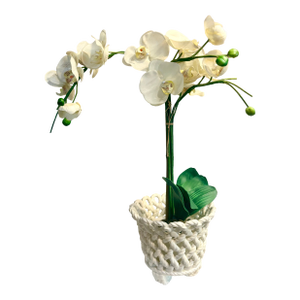 1960’s Trompe-L’oeil White Ceramic Rope Cache Pot
