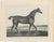 After Chalon, Thoroughbred Stallion Selim, Arabian Bloodlines, 1840, Lithograph For Sale - Image 3 of 9