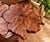 2020s Lumen and Log Hand-Carved Black Walnut "Hibiscus & Hummingbird" Sculptural Coffee Table For Sale - Image 5 of 9