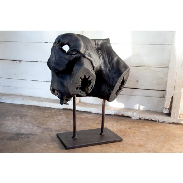 Matka Yakisugi Abstract Modern Organic Sculpture For Sale - Image 4 of 10