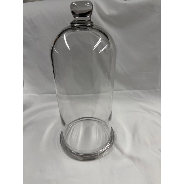 Early 20th Century Glass Cloche For Sale - Image 9 of 11