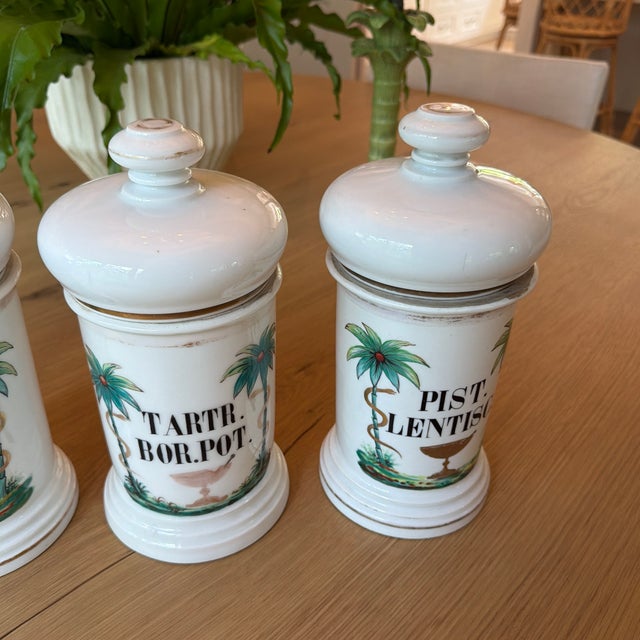 Late 19th Century Set of 4 Antique Porcelain Apothecary Jars With Hand Painted Palm Tree and Serpent Decoration For Sale - Image 5 of 12