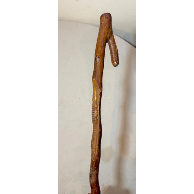 19th Century Antique 19th Century Hand Carved Wood Folk Art Alligator Walking Stick Cane For Sale - Image 5 of 14