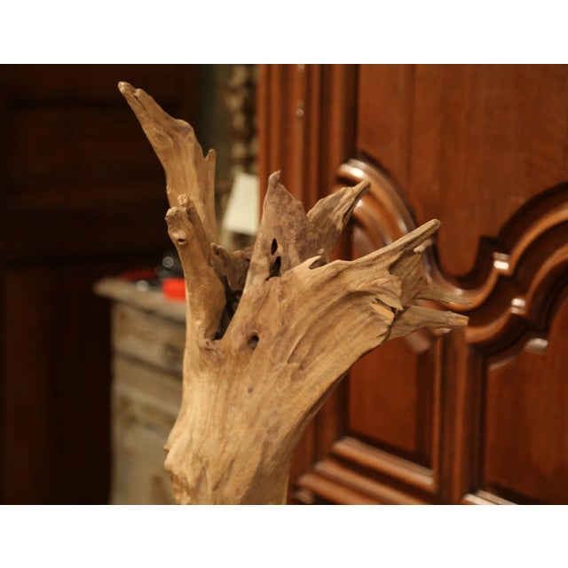 Vintage Driftwood Sculpture on Green Marble Base For Sale In Dallas - Image 6 of 7