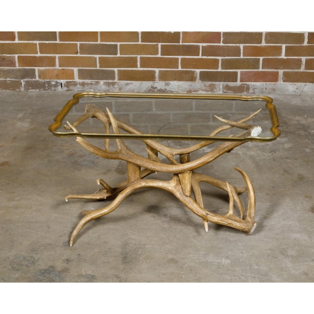 Mid 20th Century Mid 20th Century Antler and Glass Midcentury American Coffee Table with Gilded Surround For Sale - Image 5 of 12