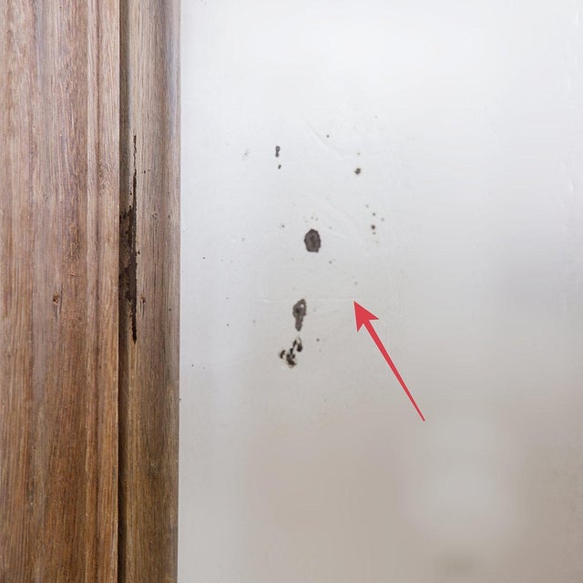 1950s Rustic Rectangular Wall Mirrors with Wooden Frames, 1950s, Set of 2 For Sale - Image 5 of 16