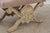 Metal William Switzer Georgian Style Carved X Form Bench Stool For Sale - Image 7 of 14