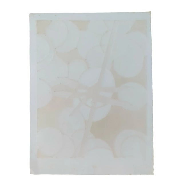 Artist Proof Woodcut by Brazilian Artist Hannah Brandt. For Sale - Image 9 of 9