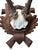Roe deer trophy on a wood plaque with oak leaves.