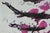 Naumackia Poster after Cy Twombly For Sale - Image 6 of 7