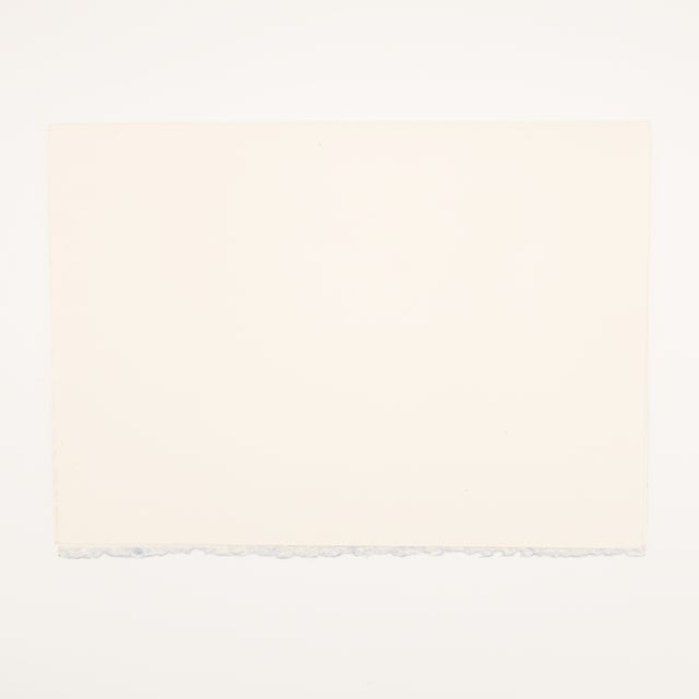 Blue Starfish - Eva Bouzard-Hui, C. 1998 For Sale - Image 8 of 10
