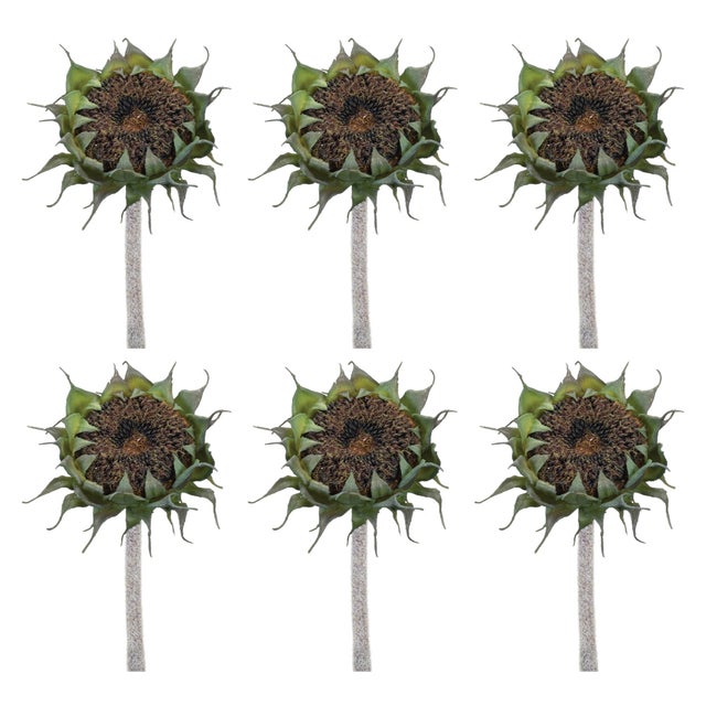Rustic Brown Sunflower Stem (Set of 6) For Sale - Image 3 of 3
