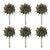 Rustic Brown Sunflower Stem (Set of 6) For Sale - Image 3 of 3