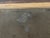 19 Th C German Still Life on Canvas in Gilded Frame For Sale - Image 12 of 16