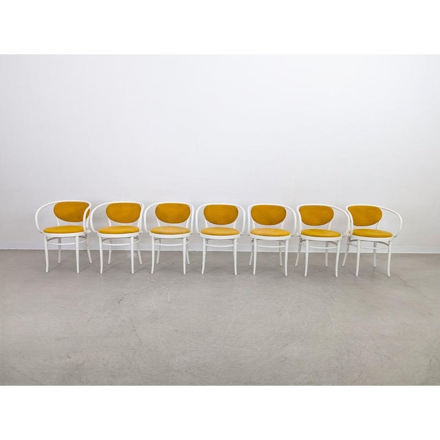 Thonet Vintage 210 P Chairs in Bentwood from Thonet, 1960s, Set of 7 For Sale - Image 4 of 16