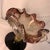 Glass Vintage Venetian Murano Art Glass Compote Pedestal Bowl Gold Fleck and Bullicante For Sale - Image 7 of 9