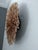 Early 21st Century Juju Hat Beige of 27" - 70 Cm For Sale - Image 5 of 6