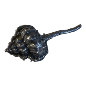 Mid 19th Century Silver Plated Shell Buccellati Style