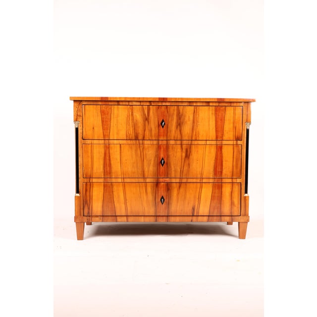 Antique Biedermeier Chest of Drawers in Applewood, 1820 For Sale - Image 13 of 13
