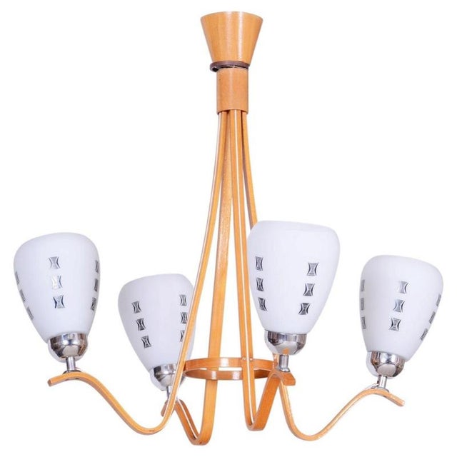 Mid-Century Chandelier in Beech and Glass from Dřevo Humpolec, Czech, 1960s For Sale - Image 13 of 13