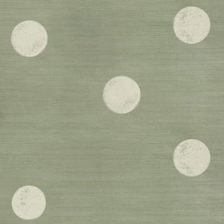 Schumacher X Backdrop Monte Carlo Sisal 2 Panel Set In Seaglass For Sale