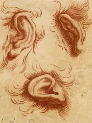 After Charles Le Brun, Physiognomy Study of Ears, 18th Century Chalk Drawing