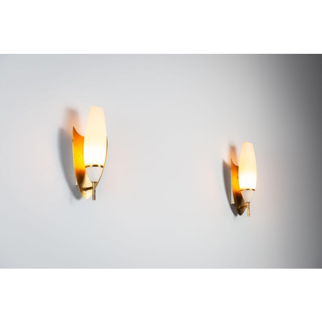 1960s Vintage Wall Lamps with Brass Shields and Glass Shades, 1960s, Set of 2 For Sale - Image 5 of 13