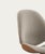 Council Family Salon Chair by Salto and Sigsgaard For Sale - Image 10 of 16