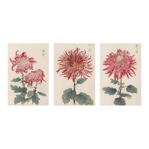 Red Chrysanthemum Triptych, Vintage Japanese Botanical Art Prints (Set of 3), 40" X 60"