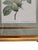 Superb 19th century Pierre-Joseph Redoute botanical print, "Rosa Centifolia Anemonoides" from his collection La...